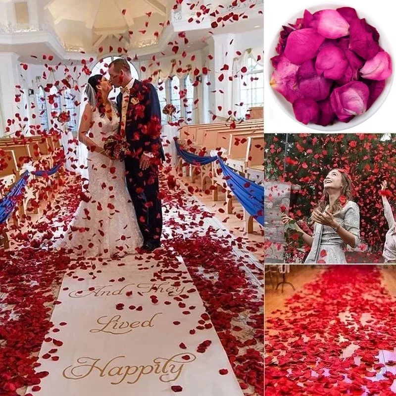 Natural Dried Rose Petals for  - Candle Making And Perfume ulasan dan harga